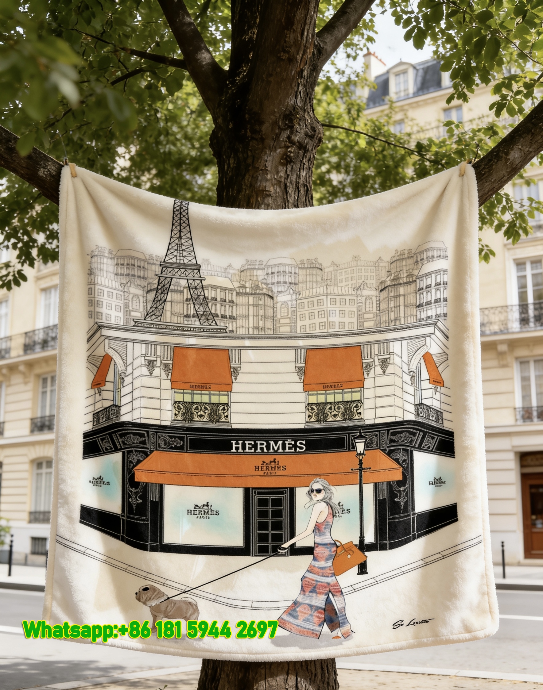 Luxury Hermès Paris Storefront Flannel Sofa Throw Blanket IMG_4935